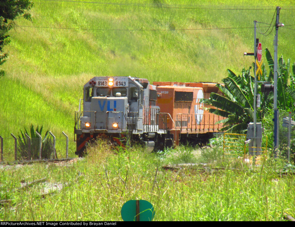 VLI 8143